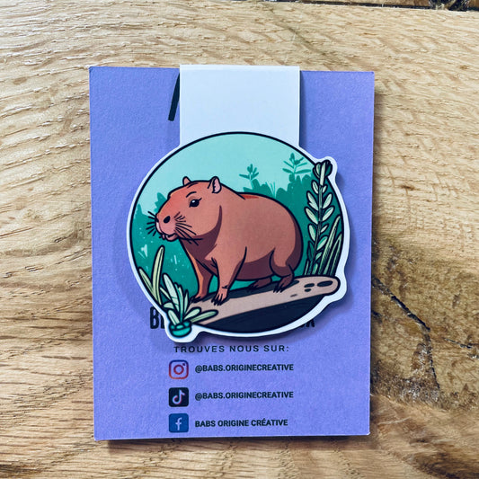 CAPYBARA