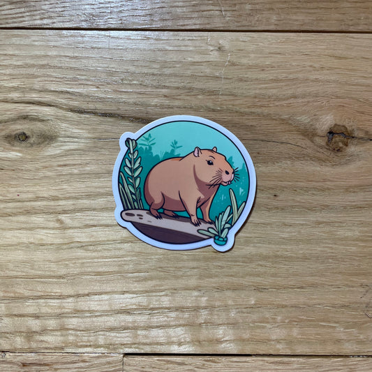 CAPYBARA